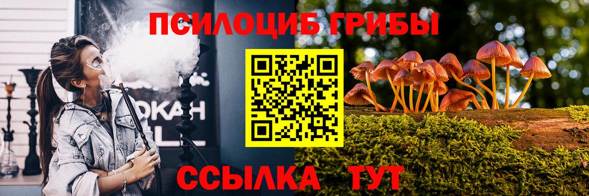 Галлюциногенные грибы Psilocybine cubensis Назрань